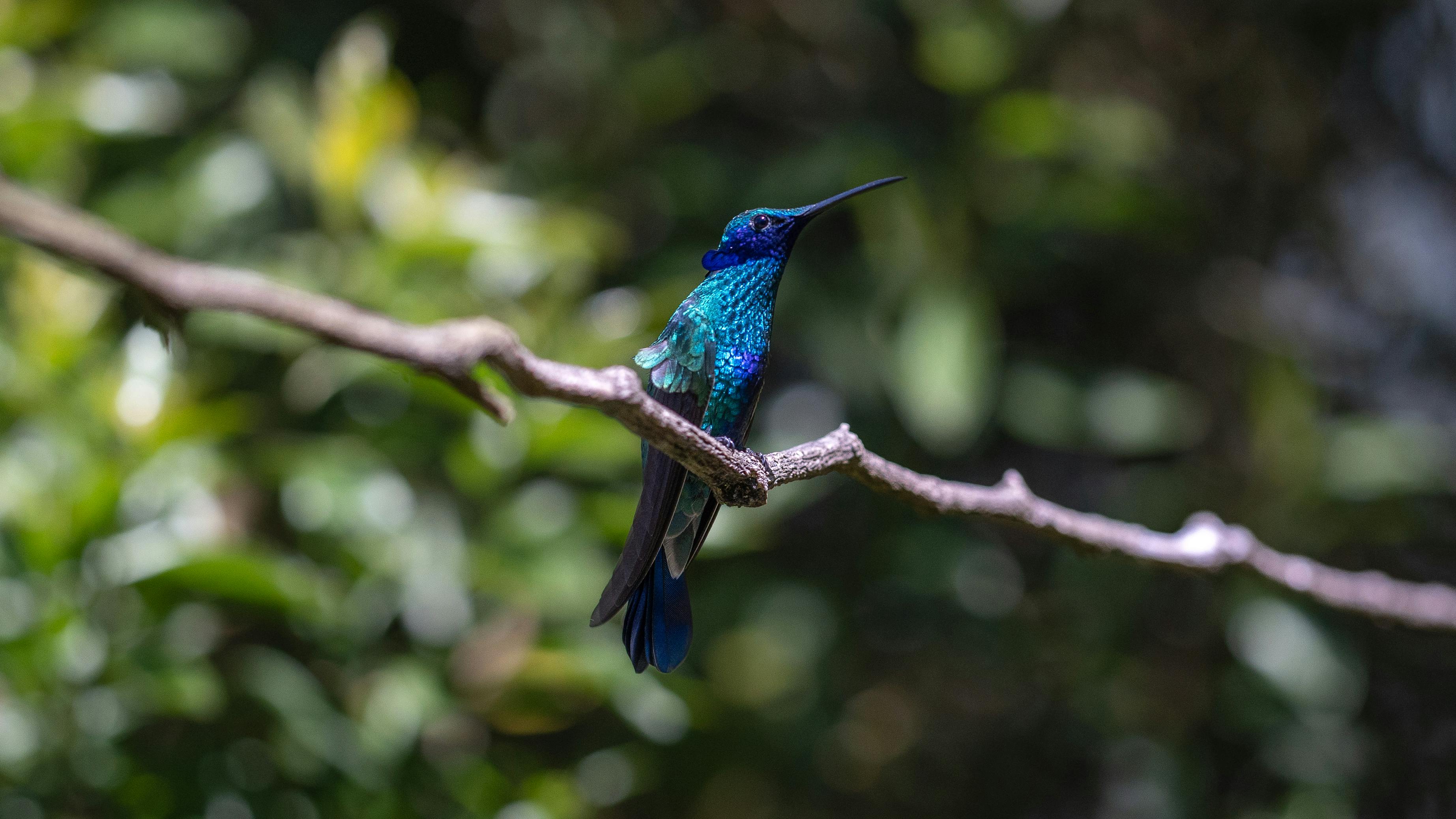 Photo of rows of books in a library with marble busts.